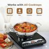 Induction cooktop with a pot of food on a white background